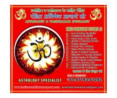 Indian Vashikaran Expert