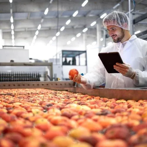 seamless-packaging-with-accuracy-automated-liquid-filling-machines-big-0
