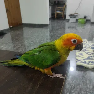test